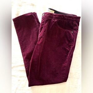 Democracy Velvet Jeans